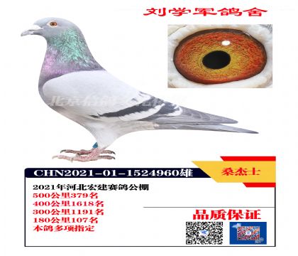 �������379��