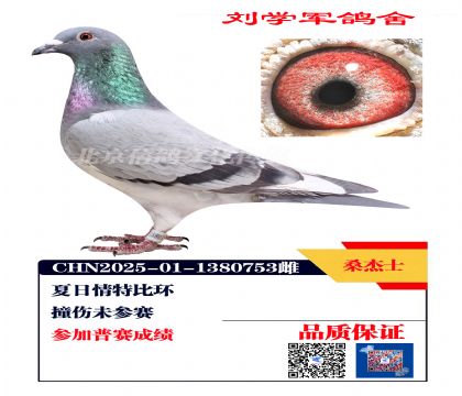 �������رȻ�753