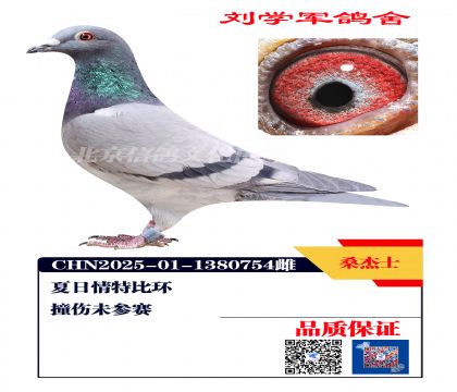 �������رȻ�754