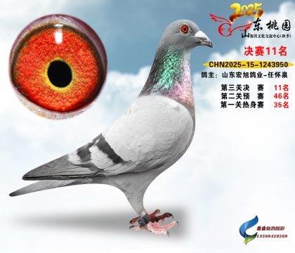 ����11��