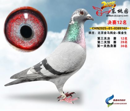 ����12��