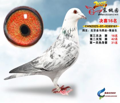 ����16��