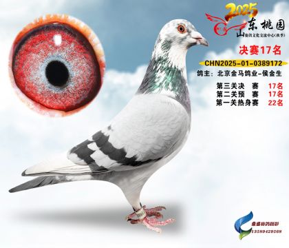 ����17��