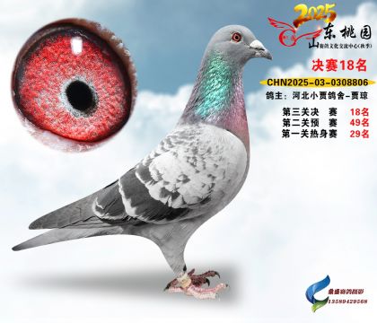 ����18��