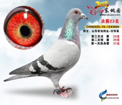 ����23��