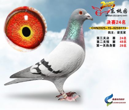 ����24��