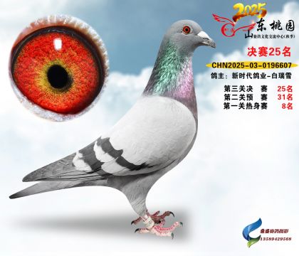 ����25��