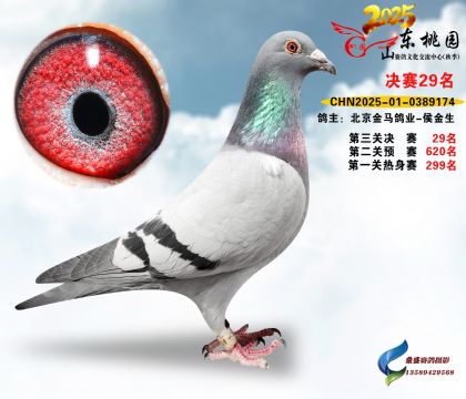 ����29��