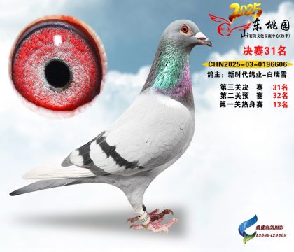 ����31��