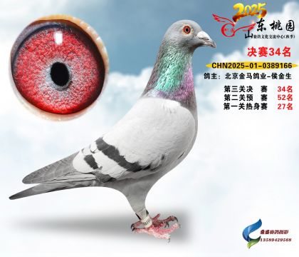 ����34��