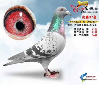 ����37��