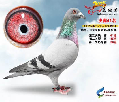 ����41��