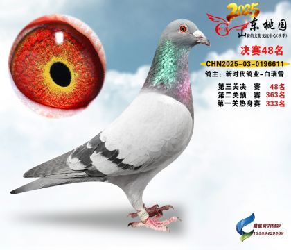 ����48��