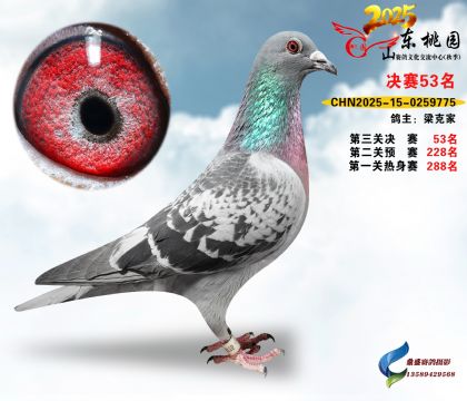 ����53��