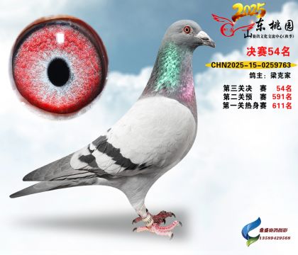 ����54��