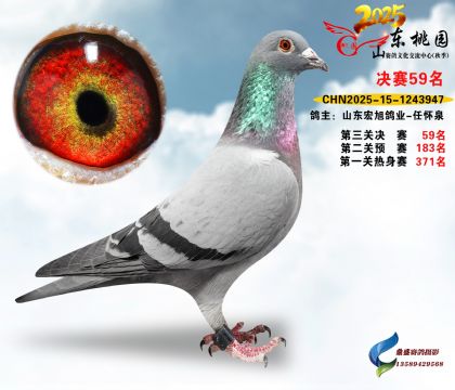 ����59��