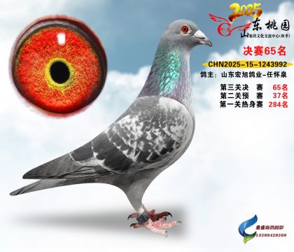 ����65��