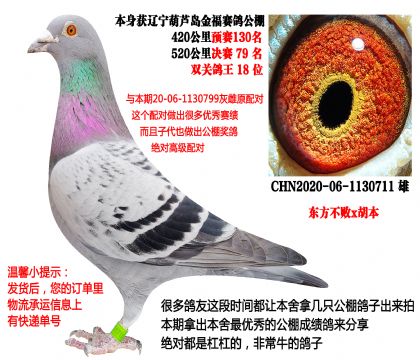 ��������x�������������79��������18λ��ԭ����