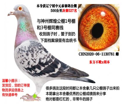 ��������x������Ԫ̩�������527����������ͬ����