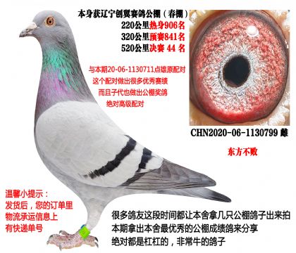 �������ܣ�����520�������44����ԭ�ԴƸ�