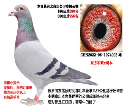 ��������x�����������180����290���������񽱣�