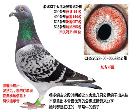 �������ܣ����������Ĺظ���68λ����������