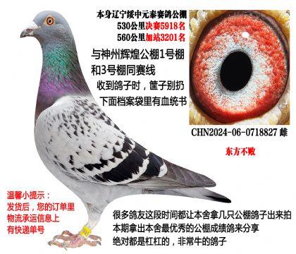 �������ܣ�Ԫ̩���빫��鳲�룩