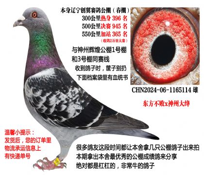 ��������x���ݴ�筣���������񽱸룩������ͬ����