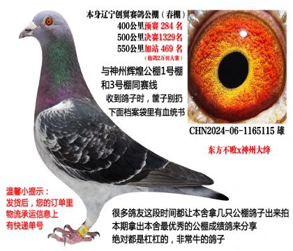 ��������x���ݴ�筣���������ɼ��룩������ͬ����