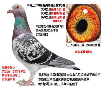 ��������x���������ݻԻ͹���3��������룩