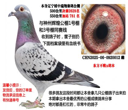 ��������x���������蹫��ɼ��룩������ͬ����