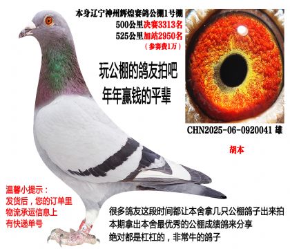 ���������ݻԻ����빫��1��������룩