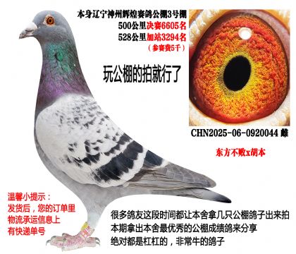 ��������x���������ݻԻ����빫��3��������룩