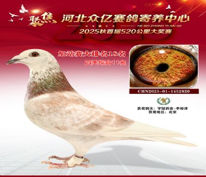 河北众亿赛鸽寄养中心加站赛18