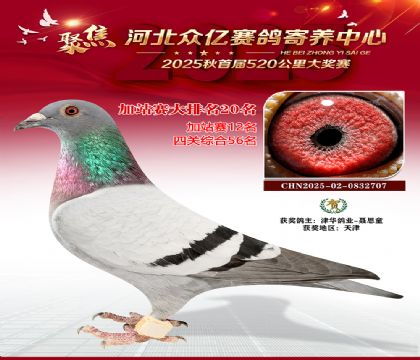 河北众亿赛鸽寄养中心加站赛20