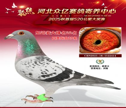 河北众亿赛鸽寄养中心加站赛22