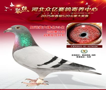 河北众亿赛鸽寄养中心加站赛23