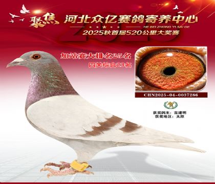 河北众亿赛鸽寄养中心加站赛25