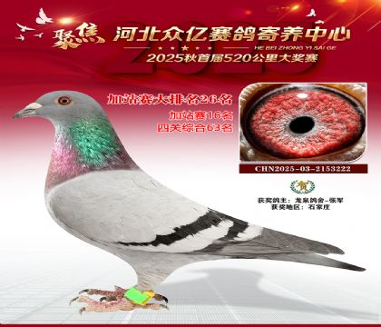 河北众亿赛鸽寄养中心加站赛26