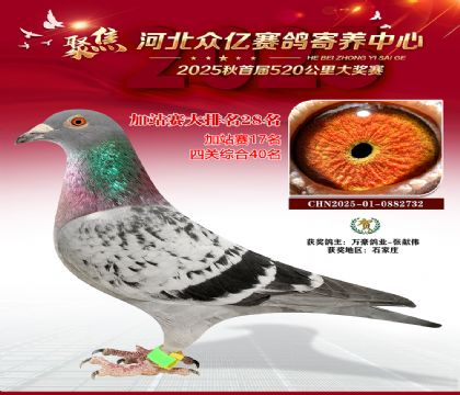 河北众亿赛鸽寄养中心加站赛28