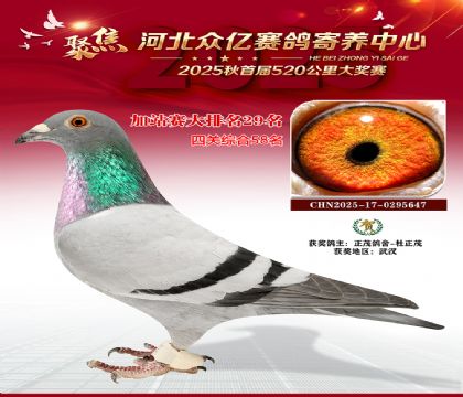 河北众亿赛鸽寄养中心加站赛29