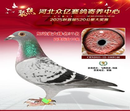 河北众亿赛鸽寄养中心加站赛37