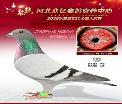 河北众亿赛鸽寄养中心加站赛39