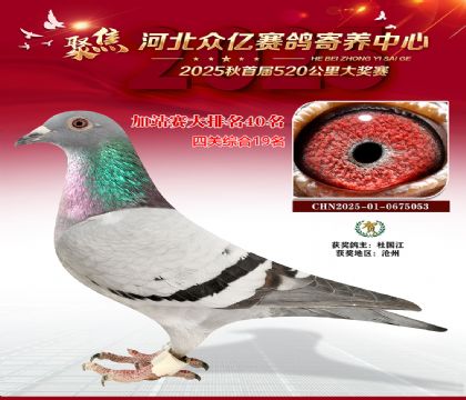 河北众亿赛鸽寄养中心加站赛40