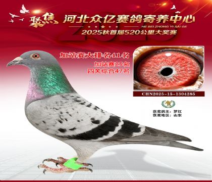 河北众亿赛鸽寄养中心加站赛41