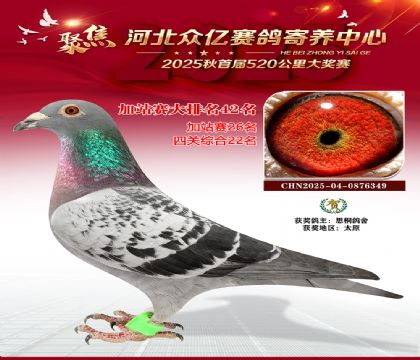 河北众亿赛鸽寄养中心加站赛42