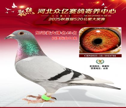 河北众亿赛鸽寄养中心加站赛43