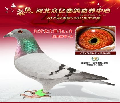 河北众亿赛鸽寄养中心加站赛19