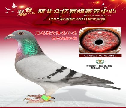 河北众亿赛鸽寄养中心加站赛45