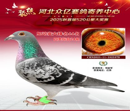 河北众亿赛鸽寄养中心加站赛44